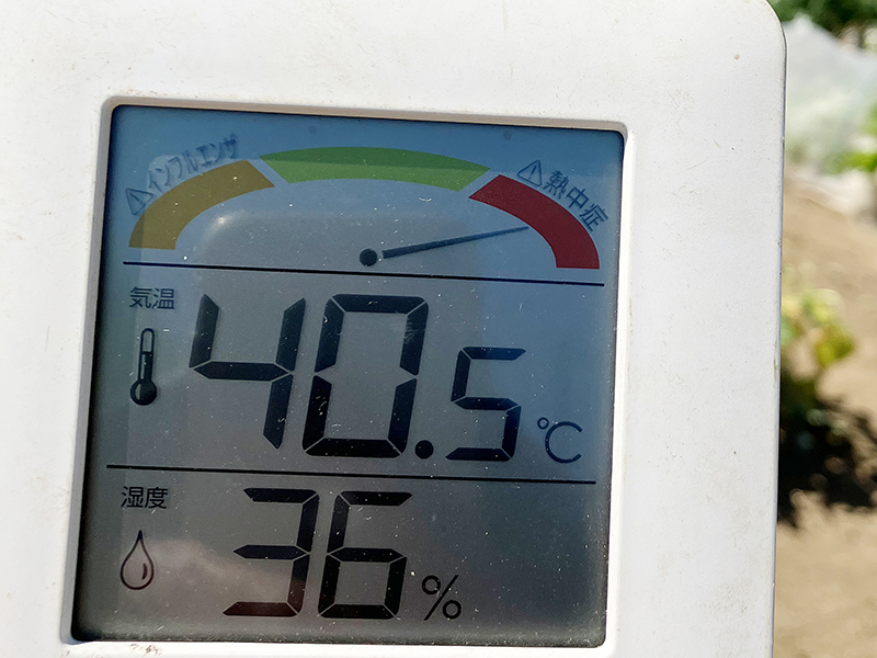 真夏の畑は朝40度超え　 地球「沸騰化」時代 　行動変えなければ